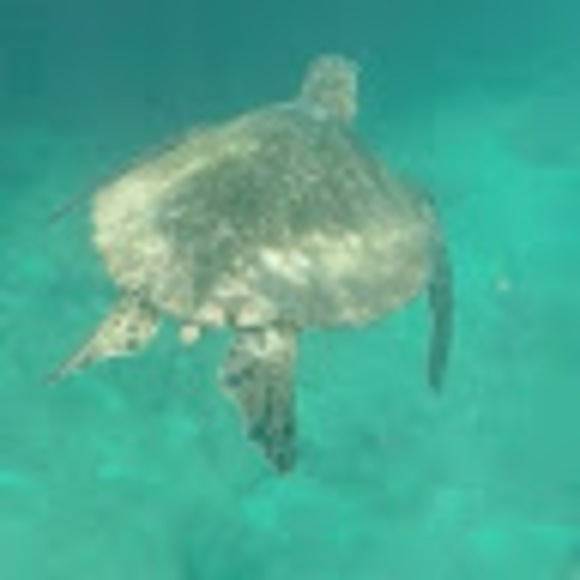 Meet your Posher, Jamie - Picture 1 of 1